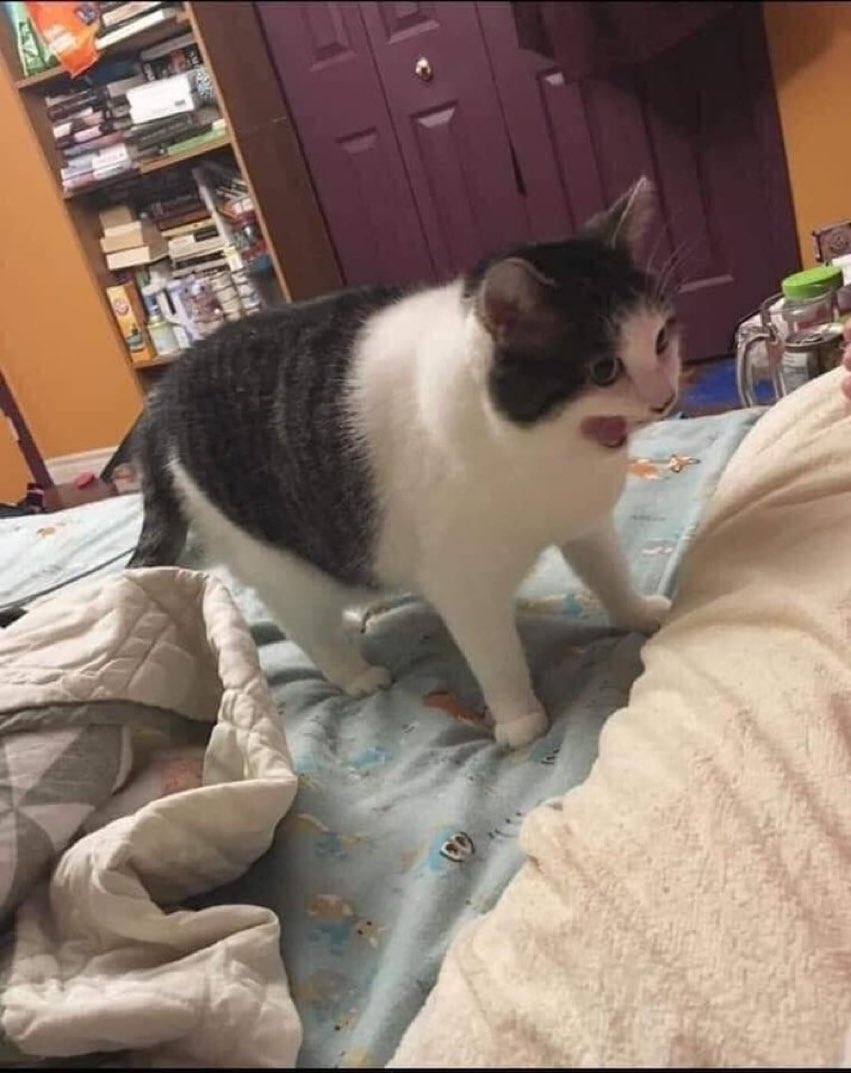 abangwakeel's tweet photo. " Mak panggil kau suruh jemur kain dari pagi tadi kau buat apa ! sekarang dah petang kau membuta lagi kenapa ! " https://t.co/hXXDzaaj4m