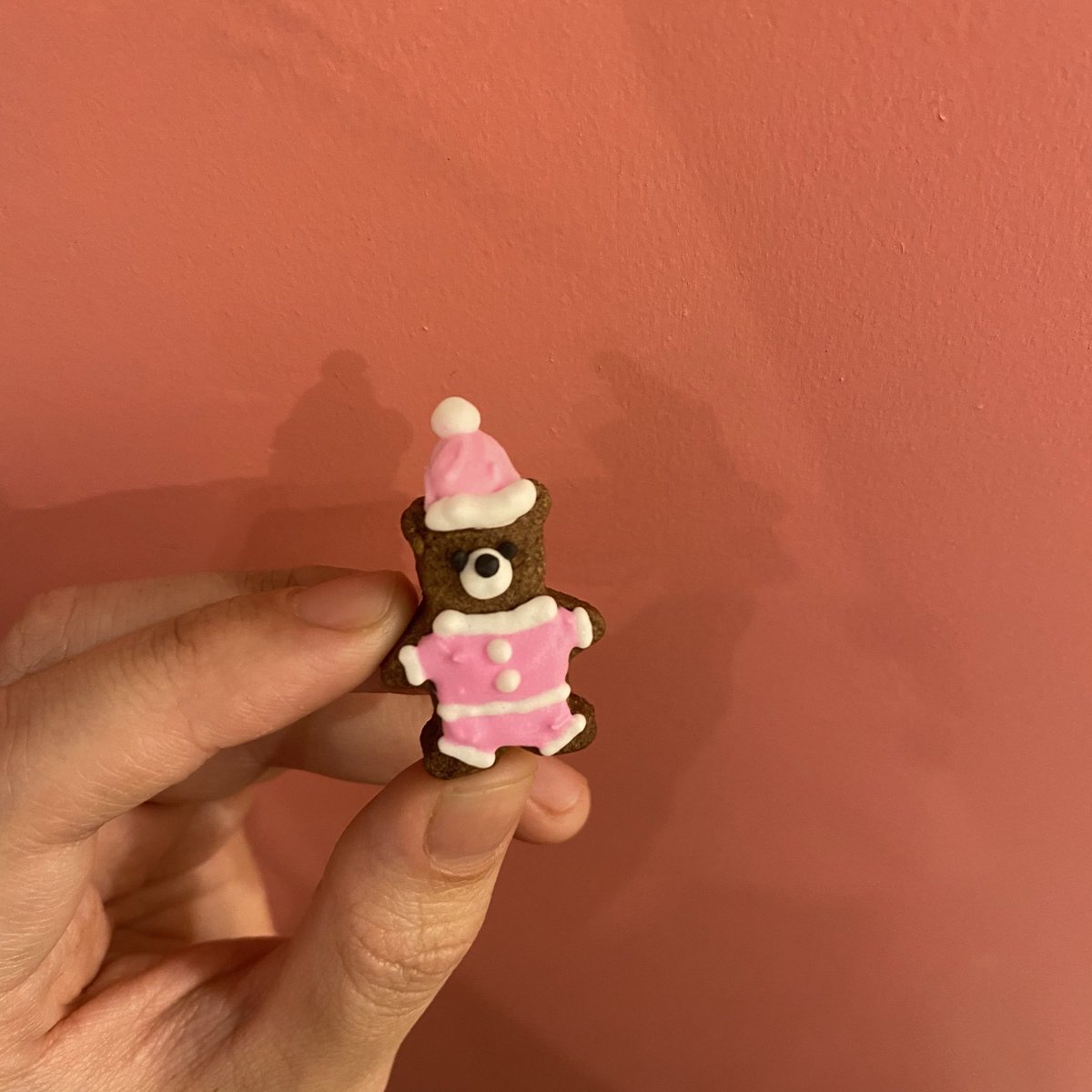 circuscrepe's tweet photo. こんばんは☽･:*ジェイです🧸🎀
クリスマスアイシングクッキー販売中です♡
このくまさんもまだいますよ〜♡
是非遊びに来てください！！ https://t.co/qogZm8d9Ji