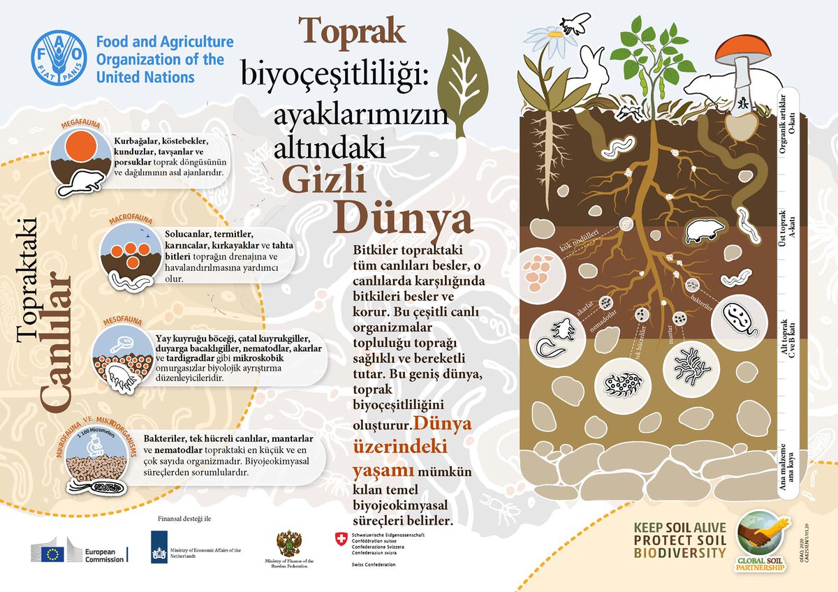 🥙Tükettiğimiz gıdanın % 95'ini topraklarımızdan sağlıyoruz.

🐌Ama toprakların sağlıklı ve verimli olması da #ToprakBiyoçeşitliliğine bağlı.

🌱Ayaklarımızın altındaki gizli dünyayı koruyalım.

#Dünyatoprakgünü #WorldSoilDay2020