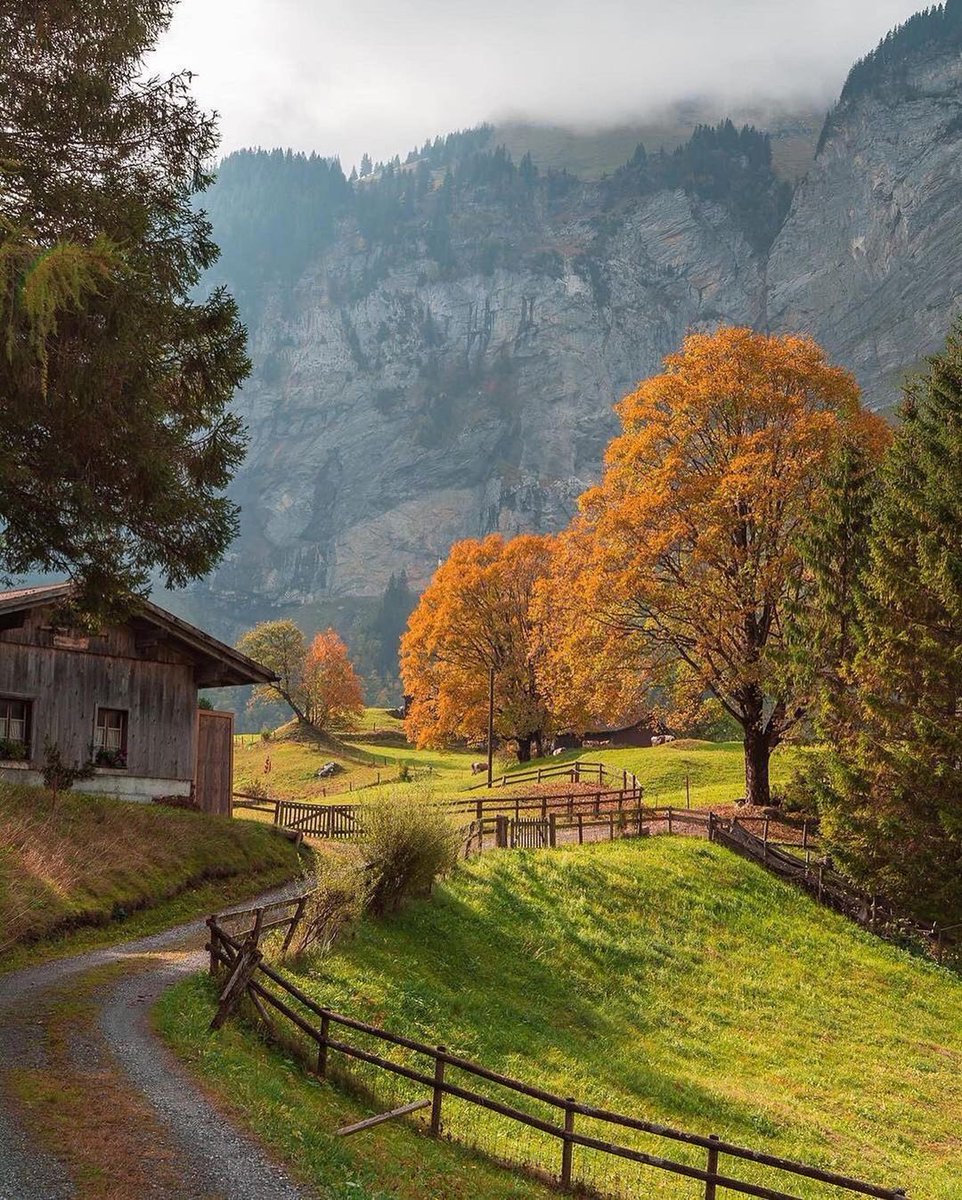 Burada olmak isterdim tam da şuan da 💐

#Covid_19