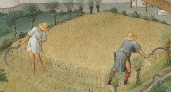 JulyMore work on the land, I've cut my finger on a scythe, they're bloody dangerous, imagine using one in a time before antibiotics...The sheep are being sheared.The man's clothing has seen better times, a woman helps.Some medieval wool scissors from a museum in Russia.