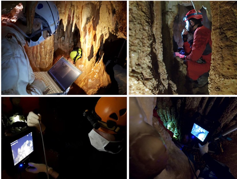 We digitally acquired the skeletal elements of  #AltamuraMan by using  #photogrammetry, laser scanner, portable x-rays devices and medical/industrial endoscopic equipment. Thanks to videoscope probes we studied in the cave bony elements that are not directly visible. 4/4