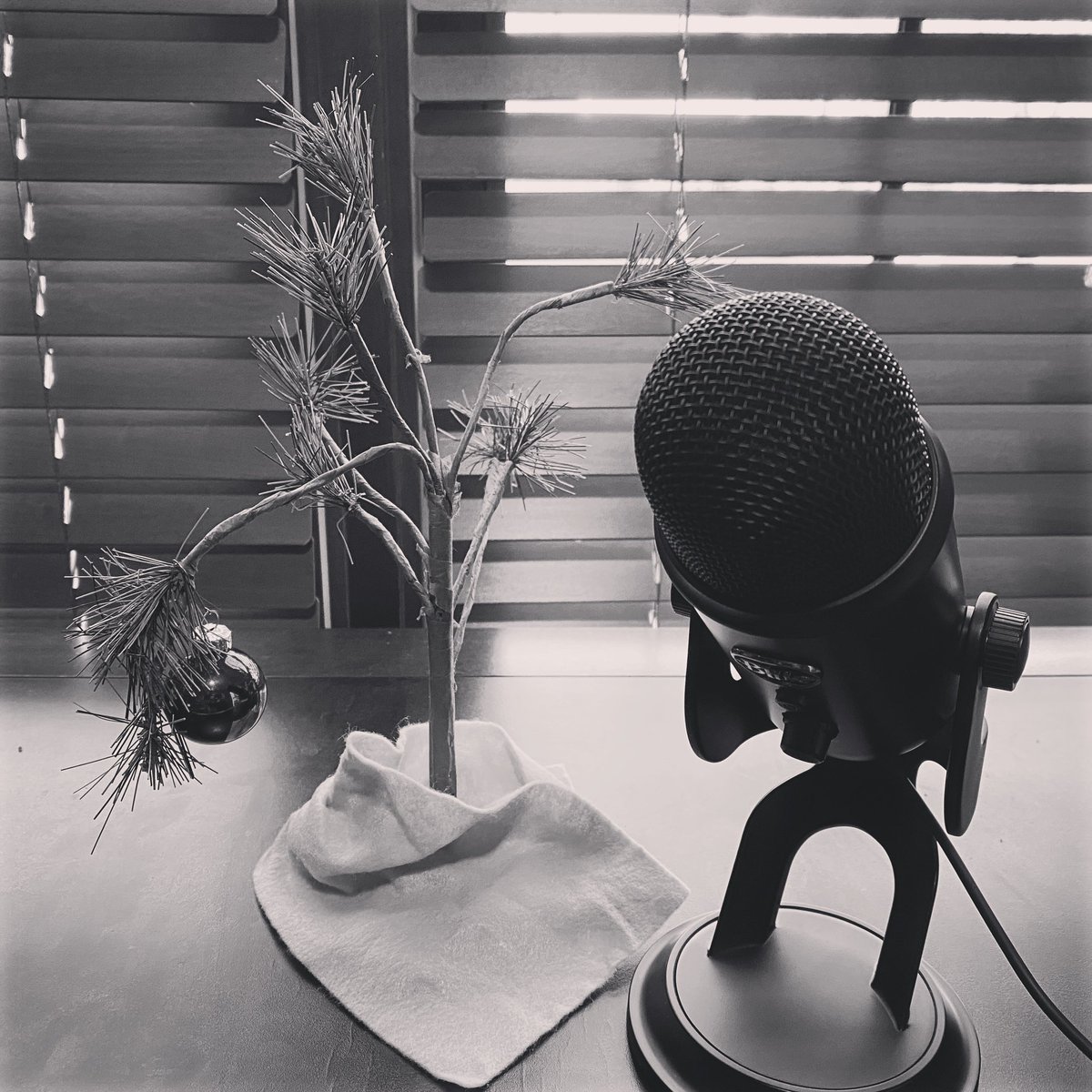 Aaron Conrad tweet media