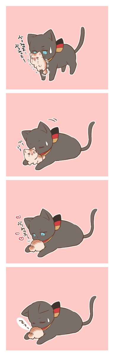 どいつねこ??どいつねこどこ???ってなっちゃうこねこたりあちゃん 