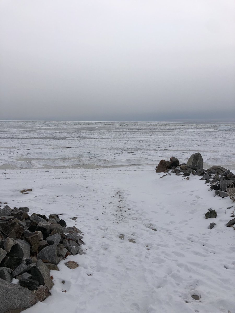 Eliteiceescapes's tweet photo. Less fog this morning with ice as far as the eye can see! Currently 19 degrees and we will be driving Mama Bear on before we know it. GET READY!! #makingice https://t.co/miljDEbuKu