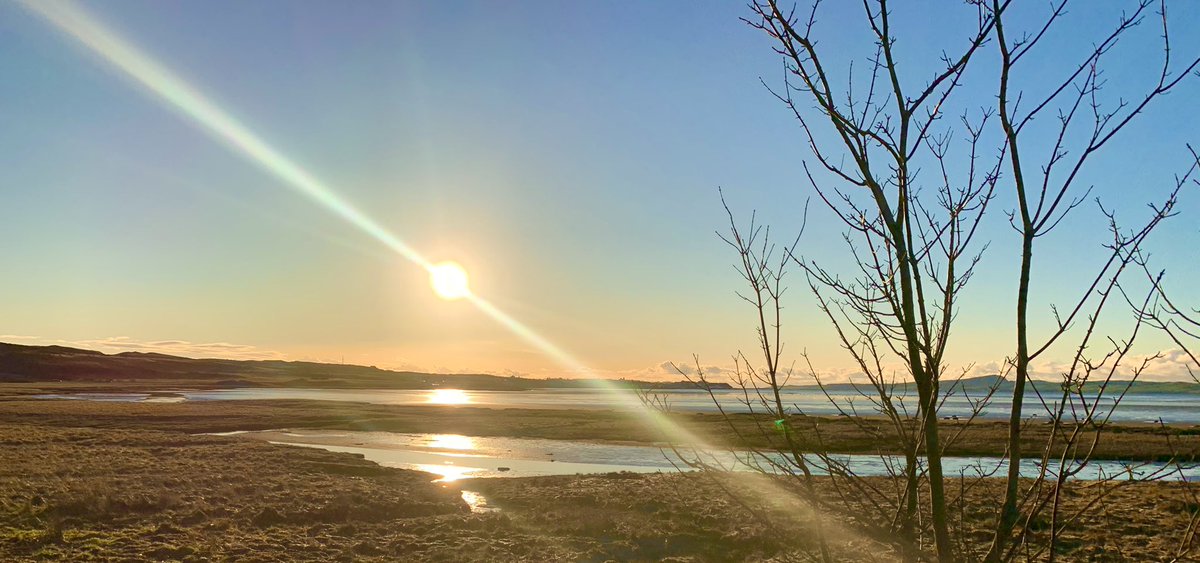 GlenegedaleH's tweet photo. It’s not hard to see why two thirds of the world’s population of geese decide to winter on @IslayandJura the sight and sound is magical even more so on a day life today. #birding #islay #wildlife #sunny #winter #thisisislay https://t.co/VjJRTrog3z