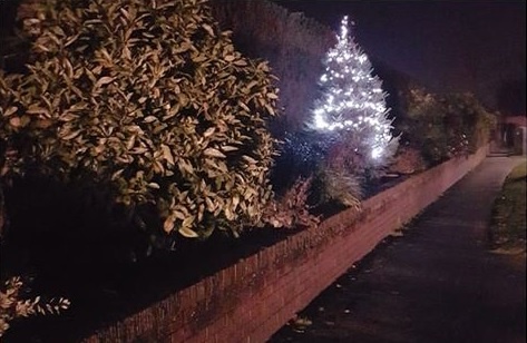 WistastonPol's tweet image. Appeal for information.
Person/s unknown have helped themselves to the Parish Council's Christmas tree &amp;amp; lights out of the flower bed on Church lane, by the memorial hall, if you saw anything suspicious or know who has taken it please call 101 quoting IML866756 #wistaston #tree