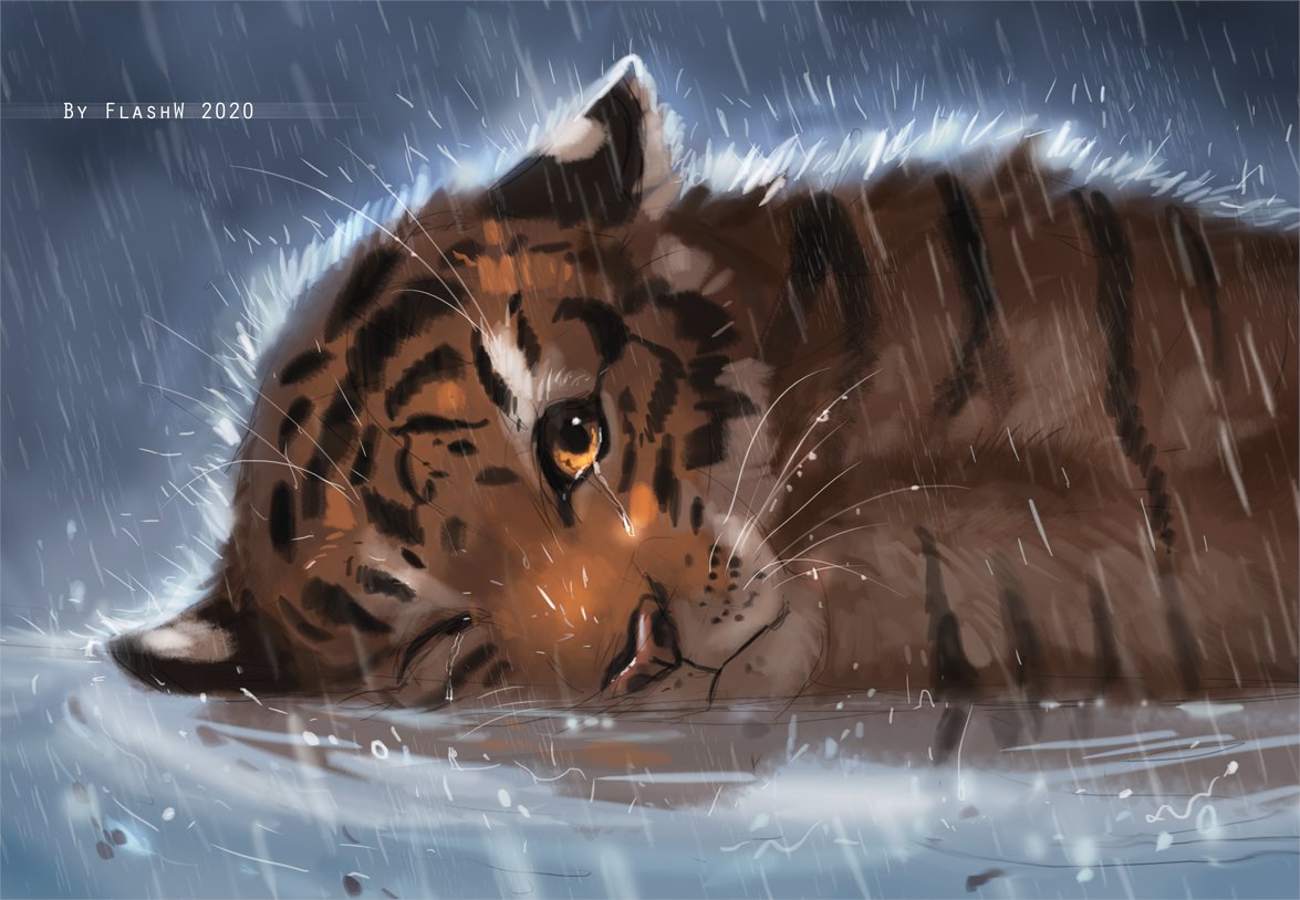 FlashWhite_'s tweet photo. Water and rainy tiger portraits. ~
#Digital #Tiger #Art https://t.co/TVK1bGHRDV