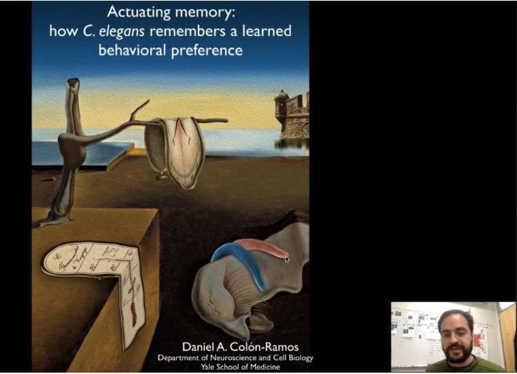 PuertoRicoNeur1's tweet photo. @dacolon @YaleUniversity on Molecular Mechanisms of Synaptic Assembly and Function: Lesson from C.elegans #prneuroscience #prneuroscienceconference https://t.co/rCpJ3ssFt0