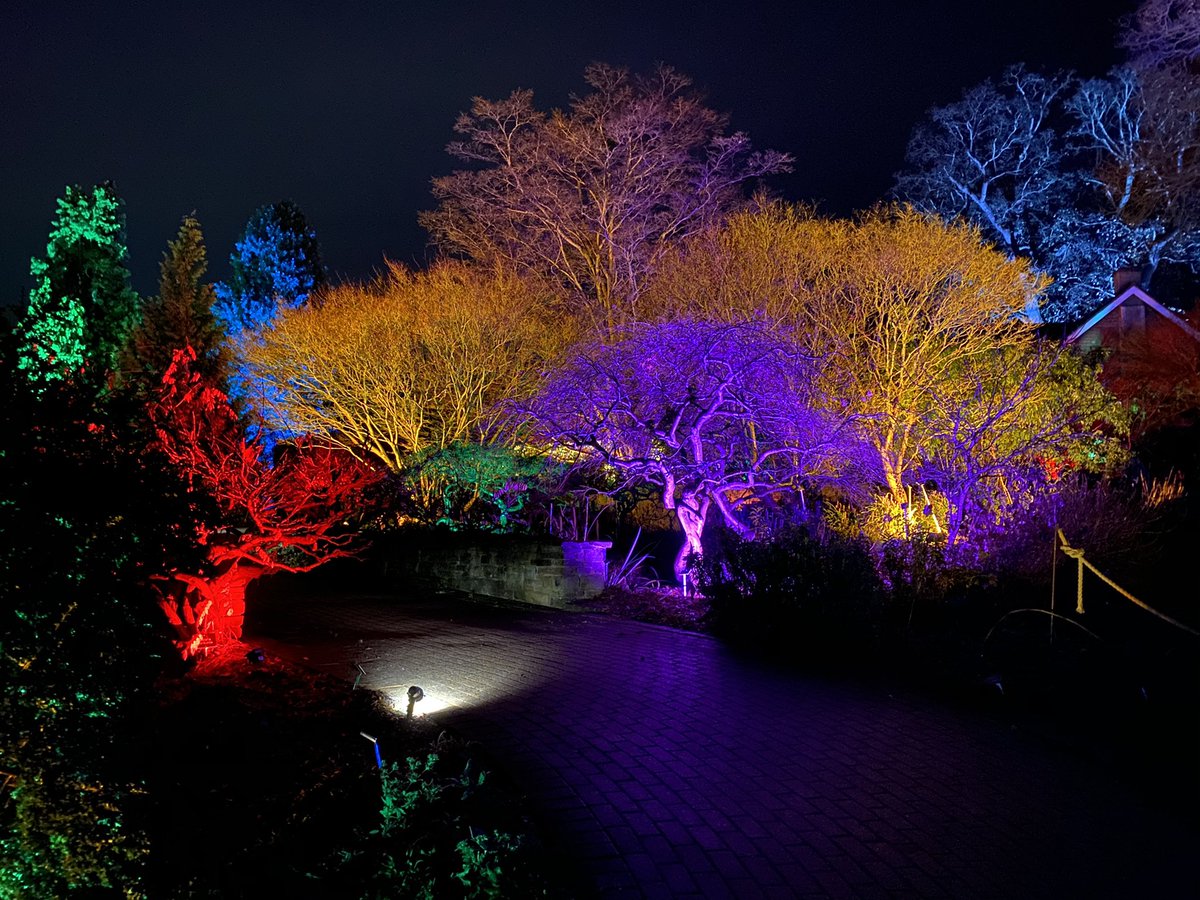 JaPenn56's tweet photo. @eltvasconcelos @Hugsutd01 Going out out is such a treat! We went to @RHSWisley for #glow2020 https://t.co/HQ2eLy82xK