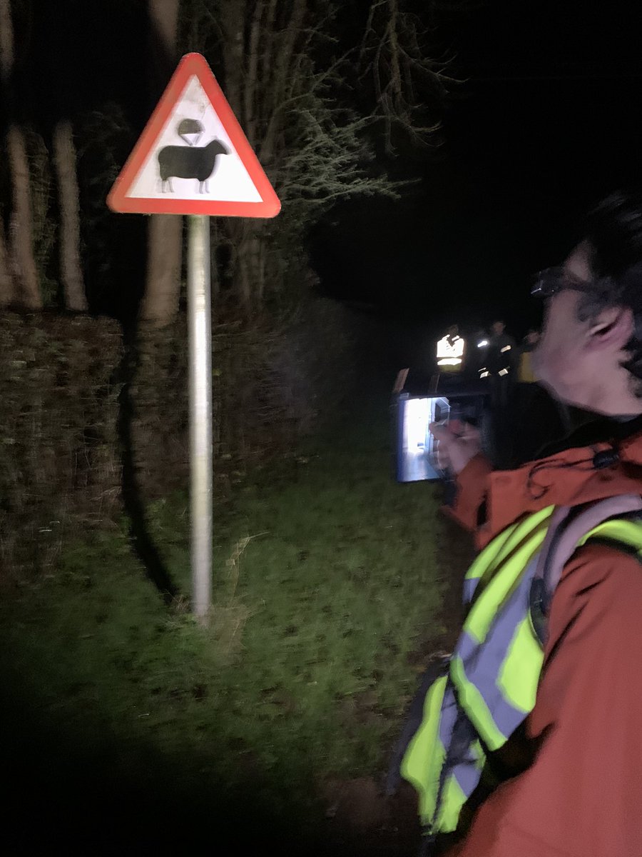 Caution - Parachuting Sheep 🐑 Keeping an eye out for dangers on our night hike. #nighthike #sheep #roadsigns #explorers #scouting #sociallydistancedscouting #h265esu