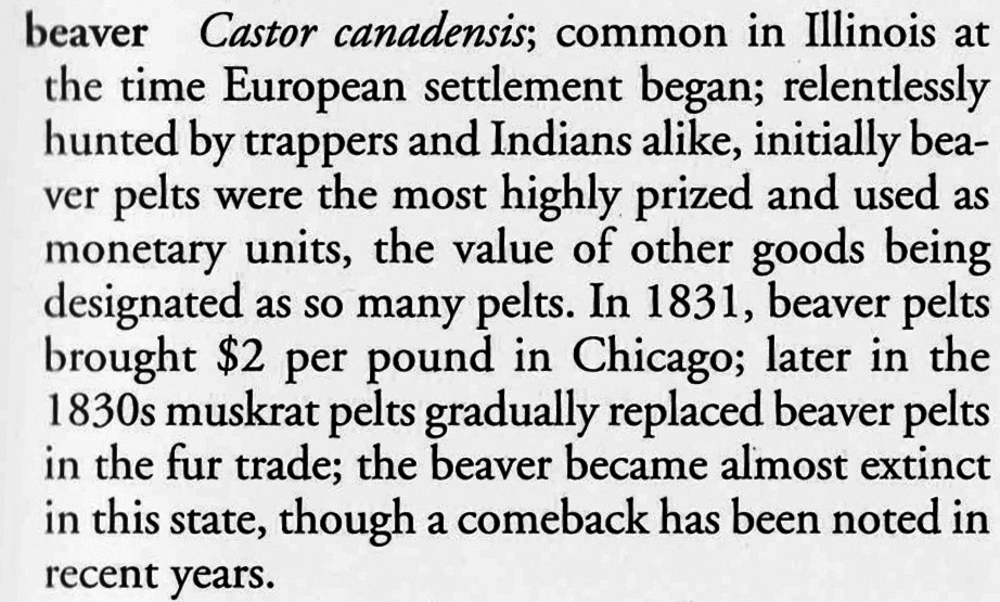 from "Early Chicago" by Ulrich Danckers and Jane Meredith