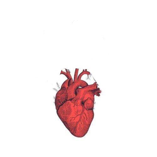 IlyesAkm7's tweet photo. tôt ou tard, il fleurit toujours à nouveau. https://t.co/AlCCoV8MxN