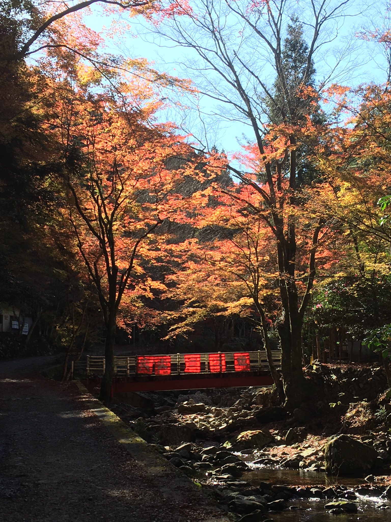 四本木ヒルズ くらがり渓谷から本宮山山頂までハイキング 紅葉は落ち切る前でギリギリセーフ 天気にも恵まれて 良い運動になったね くらがり渓谷 本宮山 くらがり渓谷紅葉まつり T Co Uh3zcwmlrb Twitter