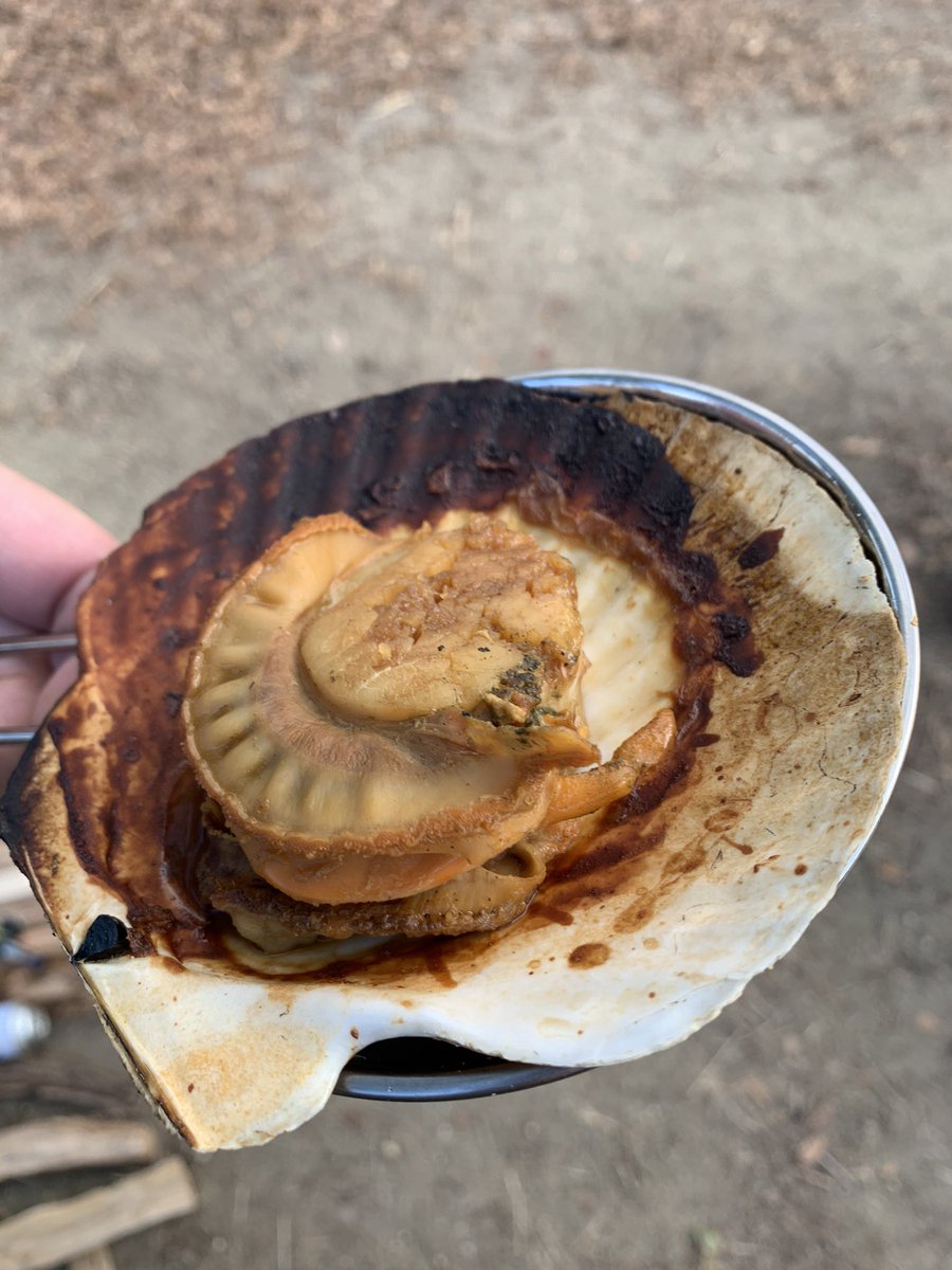 まごろく qしてきた ジョンソンヴィル ホタテ ハマグリ お肉も焼いたけど 忙しすぎて写真とりきれなかった