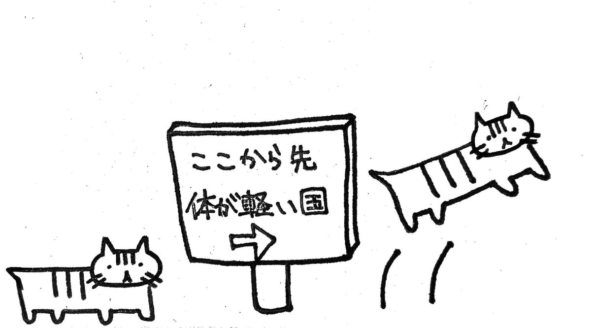 欲しいもの