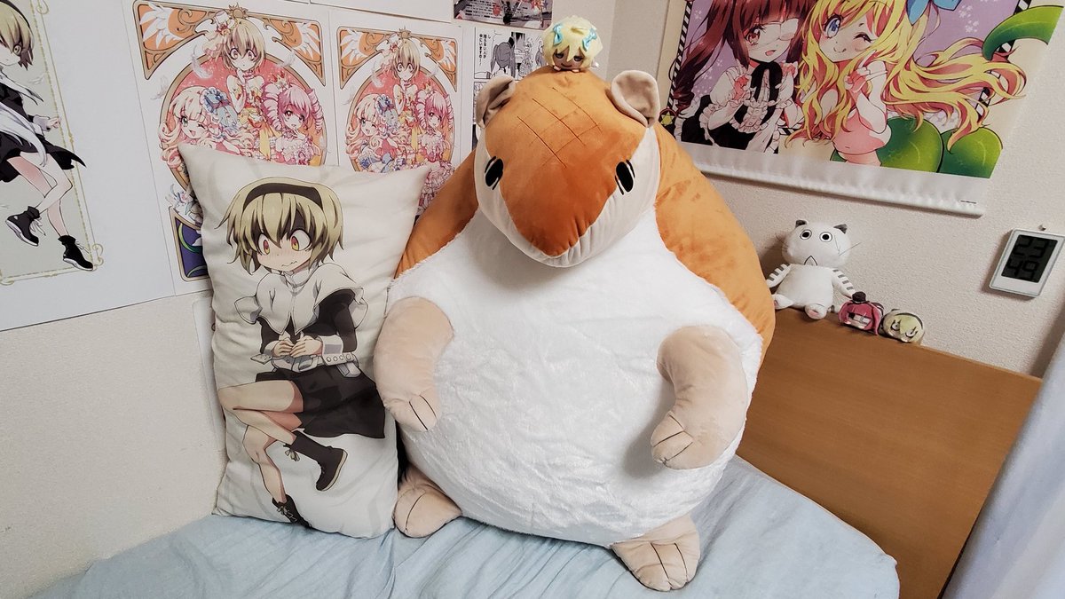 8月に頼んでいた、吸血鬼すぐ死ぬのジョンぬいぐるみ(テラサイズ)が来