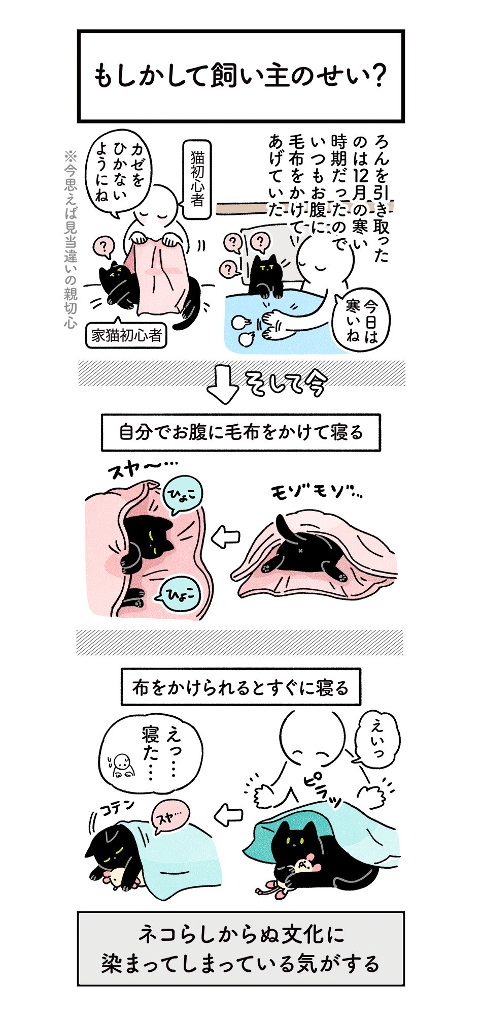 Akr 飼い主が猫初心者だったばかりに 寝るときはお布団やタオルケットをかける というとても人間ぽい文化に染まってしまった可能性があるねこの絵日記 ろんの絵日記 T Co Hynwfvrzyb Twitter Akr 飼い主が猫初心者だったばかりに 寝るときはお布団やタオルケットをかける というとても人間ぽい文化に染まってしまった可能性があるねこの絵日記 ろんの絵日記 T Co Hynwfvrzyb Twitter