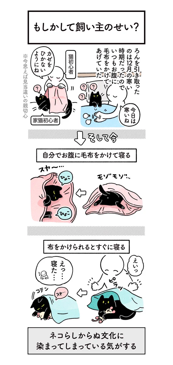 ペット初心者にありがち？人間っぽい文化に染まってしまった猫の絵日記ｗｗ