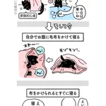 ペット初心者にありがち？人間っぽい文化に染まってしまった猫の絵日記w