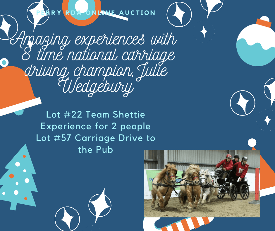 CavalierCentre's tweet photo. Who can resist bidding on these lots and getting to spend time with these gorgeous ponies? Not me! #charity #supportlocal #RDAUK https://t.co/1B1Hacd74I https://t.co/QtJogg8qeT