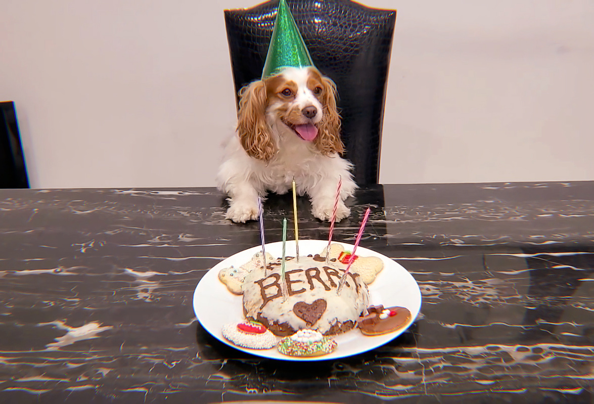 skzshots's tweet photo. happy 5th birthday, bangberry! 🐶 https://t.co/1MYme6eZEk