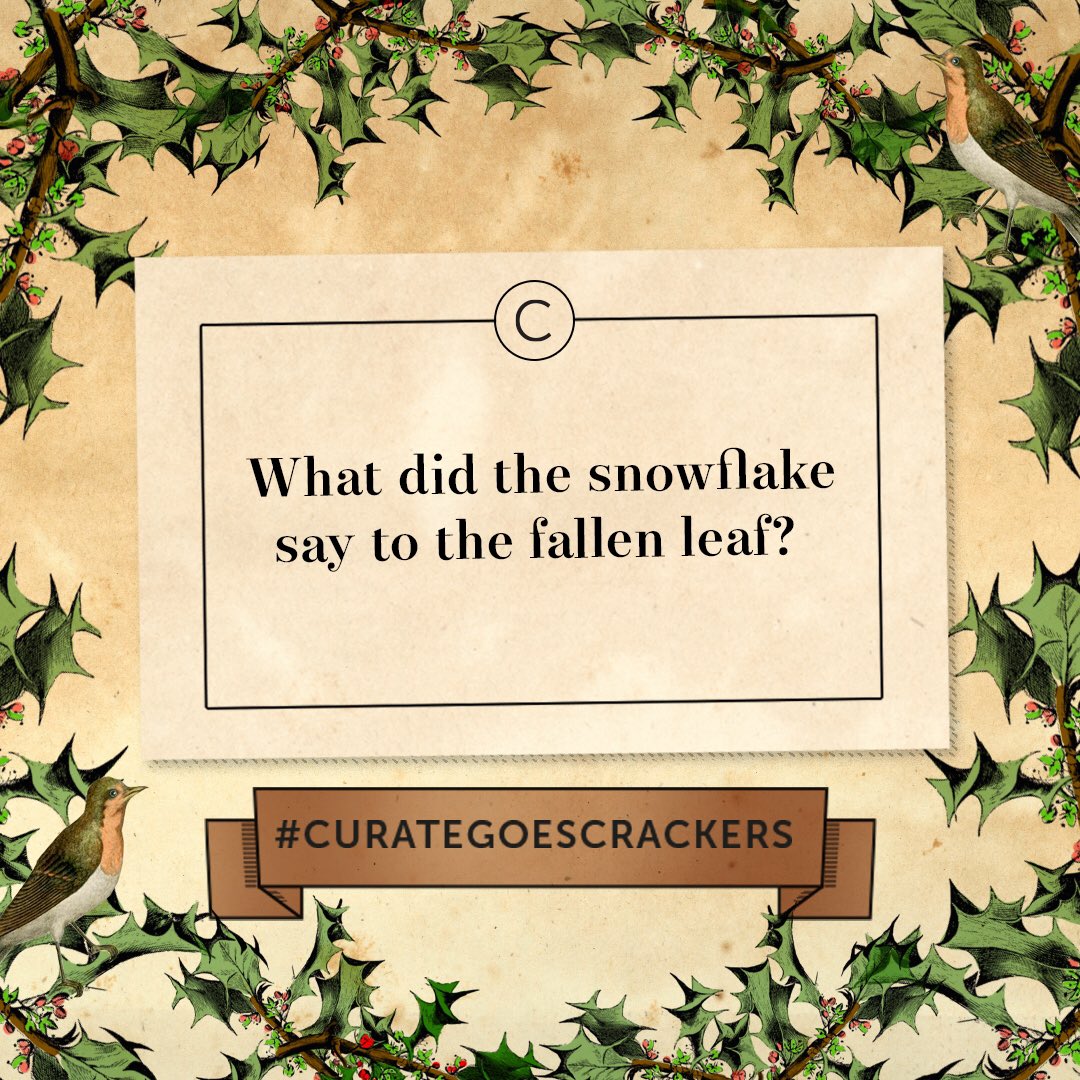 curate_creative's tweet photo. Happy weekend! #Curategoescrackers #Christmas https://t.co/0VMA5F4h8f