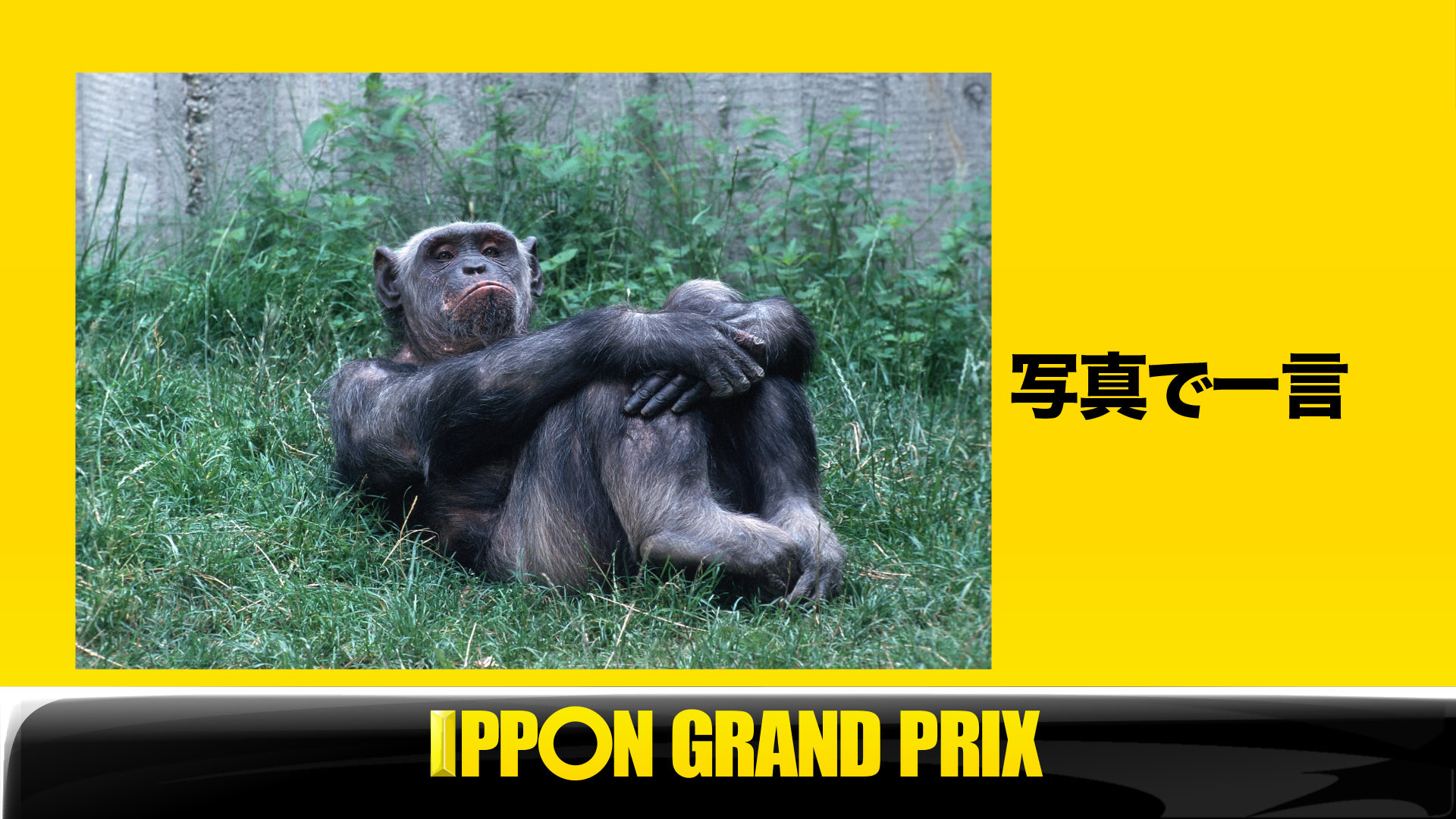 公式 Ipponグランプリ Twitterissa Aブロック第2問 このお題の回答をつぶやいてください Ippon Ipponをつけてこのツイートに返信して回答して下さい 公式 Ipponグランプリ Twitterissa Aブロック第2問 このお題の回答をつぶやいてください Ippon Ipponをつけてこのツイートに返信して回答して下さい
