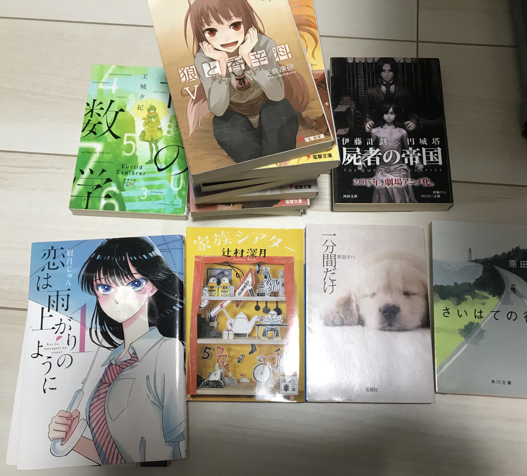 Tuitui盛るハー 今日買った諸々 小説 狼と香辛料 5 11 青の数学 家族シアター 一分間だけ さいはての彼女 屍者の帝国 漫画 恋は雨上がりのように 1 3 T Co Mnuhugeb59 Twitter