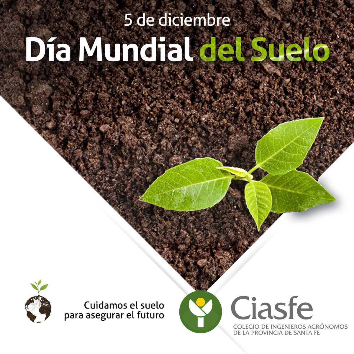 CIASFEcomunica's tweet photo. Día Mundial del Suelo. Un fecha para centrar la atención en la importancia de un suelo sano y abogar por la gestión sostenible de los recursos del suelo. #diamundialdelsuelo #ciasfe #suelosostenible #importanciadelsuelo https://t.co/MeEJase4Hu
