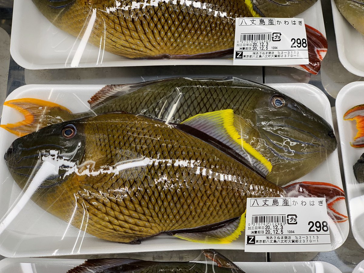 海風おねえさん トミメ ナメモンガラ の丸ごと唐揚げ T Co Tetmoev1wd トミメの皮をむしりとる経験一度してみてくださいね ワイルドな気分が味わえますよ トミメ ナメモンガラ カワハギ 唐揚げ Twitter晩酌部 晩ごはん T Co