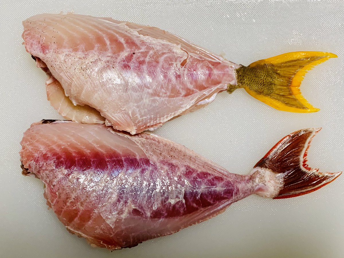 海風おねえさん トミメ ナメモンガラ の丸ごと唐揚げ T Co Tetmoev1wd トミメの皮をむしりとる経験一度してみてくださいね ワイルドな気分が味わえますよ トミメ ナメモンガラ カワハギ 唐揚げ Twitter晩酌部 晩ごはん T Co