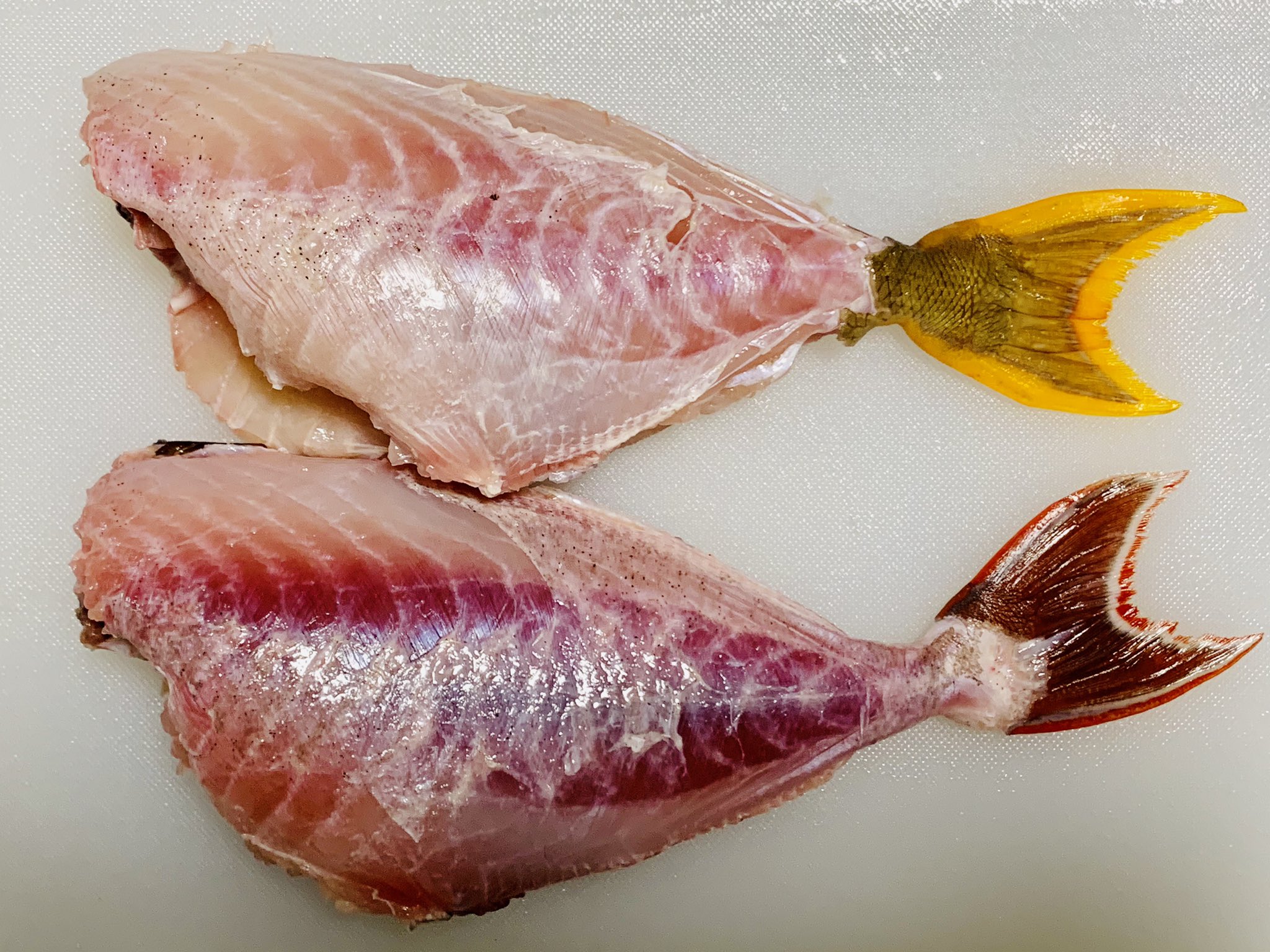 海風おねえさん トミメ ナメモンガラ の丸ごと唐揚げ T Co Tetmoev1wd トミメの皮をむしりとる経験一度してみてくださいね ワイルドな気分が味わえますよ トミメ ナメモンガラ カワハギ 唐揚げ Twitter晩酌部 晩ごはん T Co