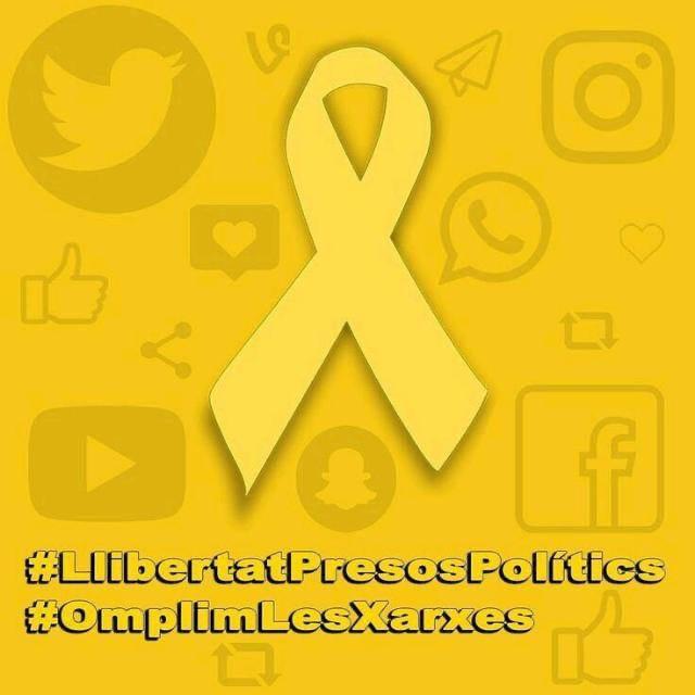 🎗 Francesc Riera (@cescriera22) on Twitter photo 