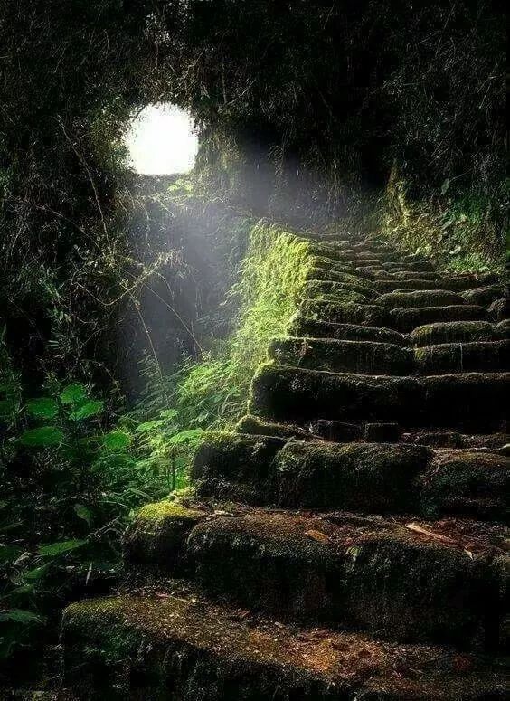 OldManPlays's tweet photo. Couple of pictures for #dnd / #dungeonsanddragons #terrain Inspiration https://t.co/fvrS5M1BDD