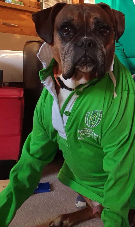 CaldwellPhilip's tweet photo. #fta4philly #woof #IREvSCO https://t.co/JvyAimzQOG