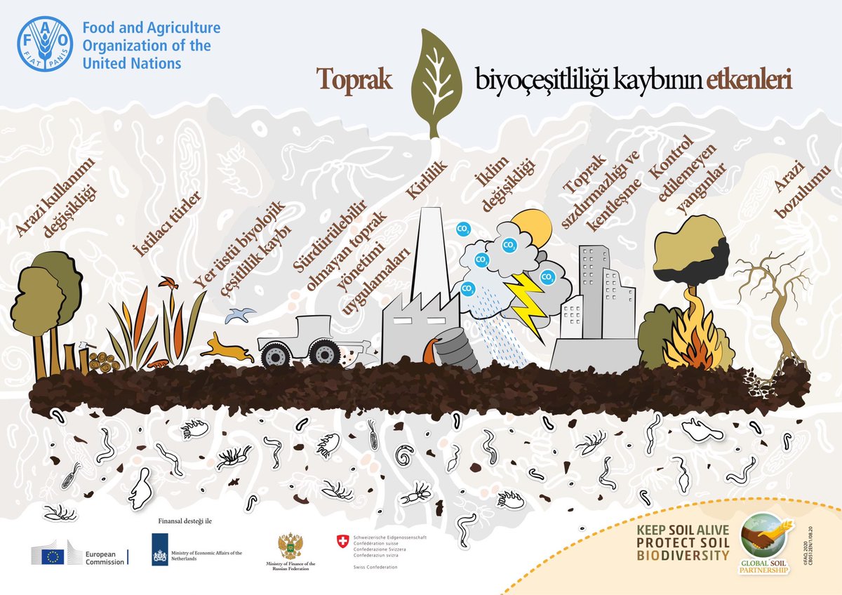Neler topraktaki biyoçeşitliliğin kaybolmasına neden oluyor❓

✖️İklim değişikliği
✖️Yer üstü biyolojik çeşitlilik kaybı
✖️Sürdürebilir olmayan toprak yönetimi uygulamaları

#WorldSoilDay2020 #DünyaToprakGünü