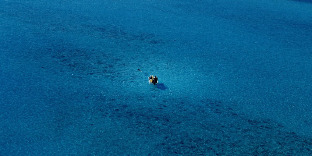 dibaqaqua_es's tweet photo. Según @FAOenEspanol, en 2050 se espera que la población mundial sea de 9.700 millones de personas, un 34% más que en la actualidad. ¿Cómo alimentar a tanta gente? ¡La acuicultura es un sector fundamental para conseguir #HambreZero! https://t.co/IWOAneHbOp