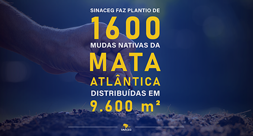 Relembrando o plantio de 1.600 mudas nativas da Mata Atlântica em nosso pátio, em São Bernardo do Campo neste #DiaMundialDoSolo. Cuide do planeta, o bem mais precioso que temos. É a nossa casa. Faça a sua parte!

#SINACEG #CuidandoDoPlaneta  #sinaceg #caminhao #cegonheiros #sp