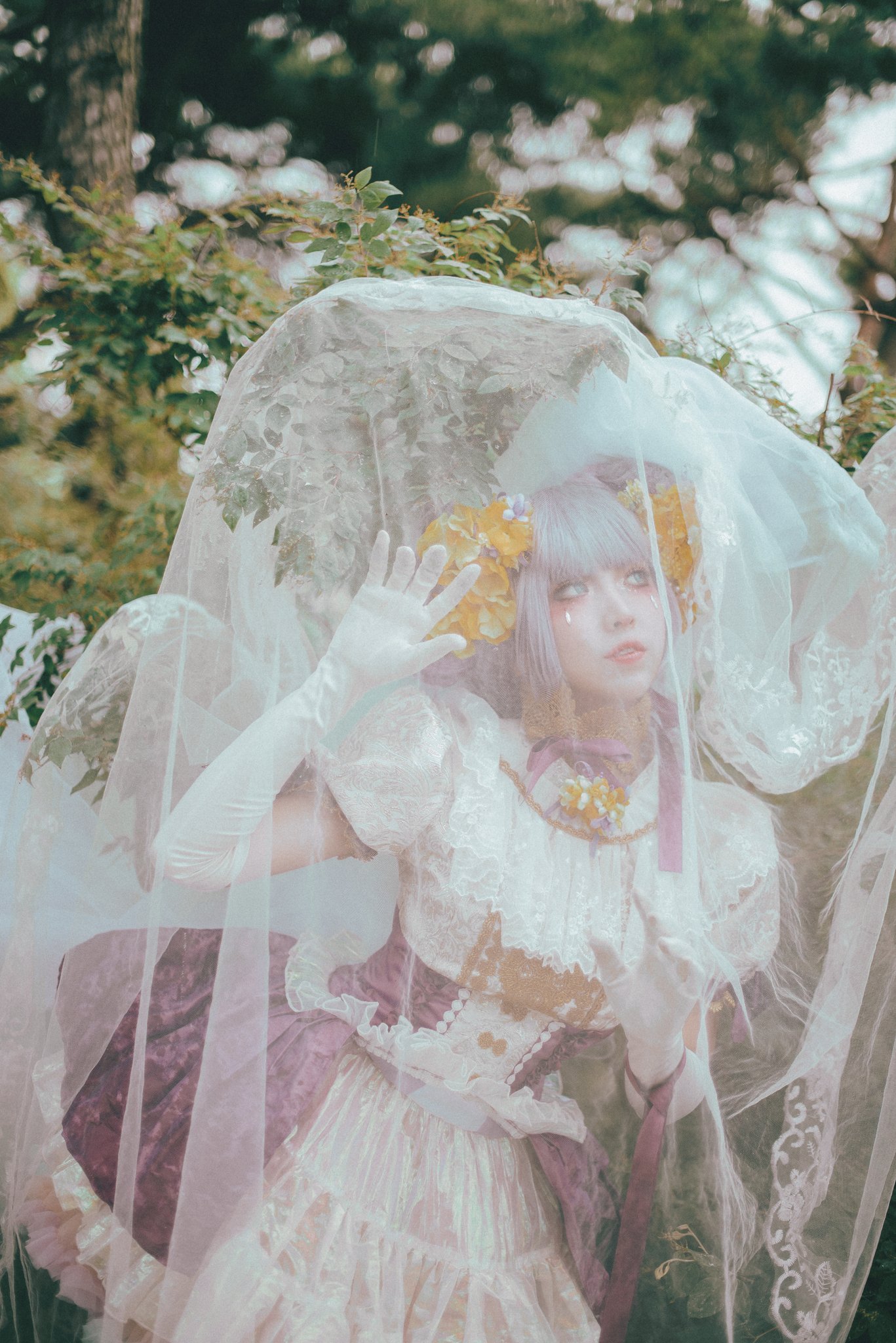 画像,𝓜𝓸𝓸𝓷𝓵𝓲𝓰𝓱𝓽 𝓯𝓵𝓸𝔀𝓮𝓻🌙 【 Sakizo - Evening Promise 】( 사키조- 달맞이꽃 )- 말없는 사랑M.@enmyo_4_se…