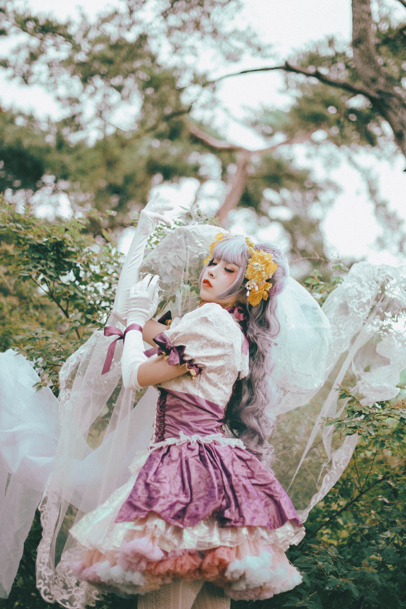 画像,𝓜𝓸𝓸𝓷𝓵𝓲𝓰𝓱𝓽 𝓯𝓵𝓸𝔀𝓮𝓻🌙 【 Sakizo - Evening Promise 】( 사키조- 달맞이꽃 )- 말없는 사랑M.@enmyo_4_se…