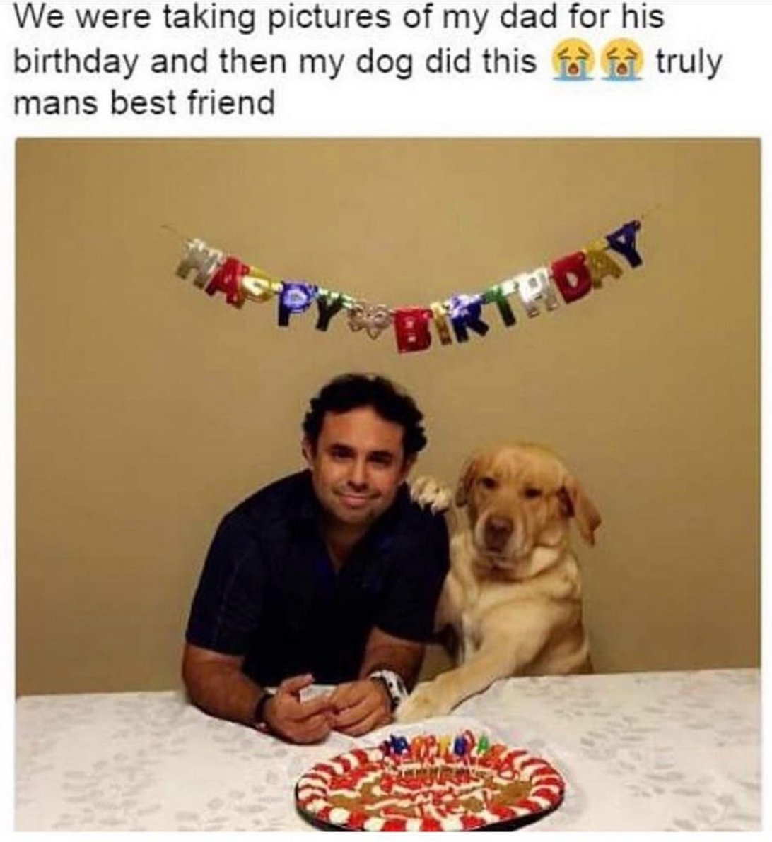 CauseWereGuys's tweet photo. We don't deserve dogs 😭 https://t.co/0Tiw1jr547