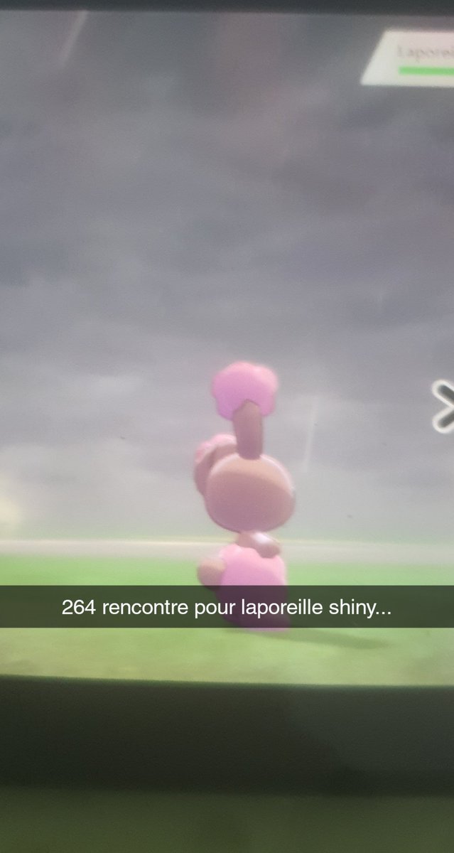 kuroko20018's tweet photo. Voici les indésirables pour la shasse de larvadar
Chacripan environ 20 rencontres
Laporeille 264 rencontre
🌟139/807🌟
@CykoMore, @Viaiepi, @Yoyovicti, @TheHolomovement, @Yarloo7, @Fulgu_, @NewCry1, @val8753, @MrZedux
#HoloIsACult https://t.co/KG1bAa4wkH