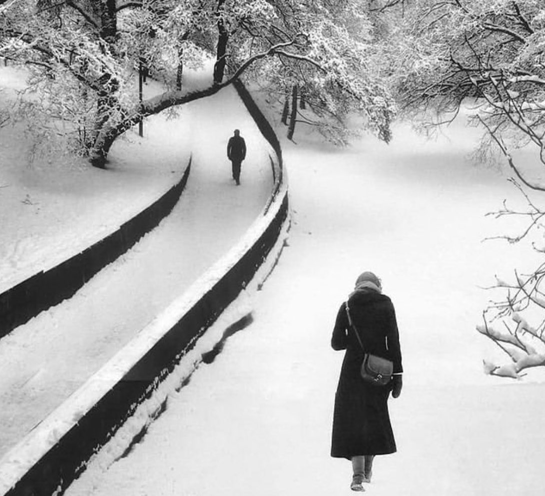 “I exist in two places, here and where you are”

Margaret Atwood

Photography © Elisabeth Hennum