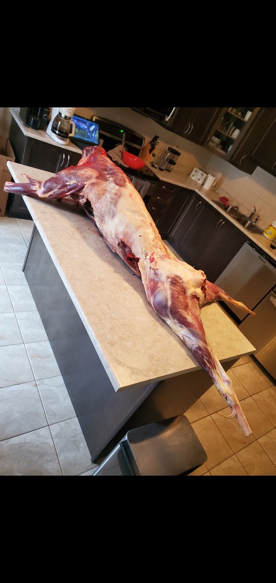 From the field to the freezer.  Diy