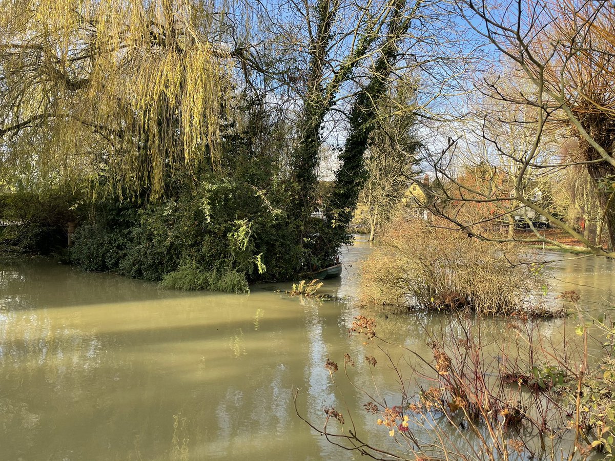 mdstbarts's tweet image. There seems to be a lot of river in the garden! #riverbrett #Suffolk