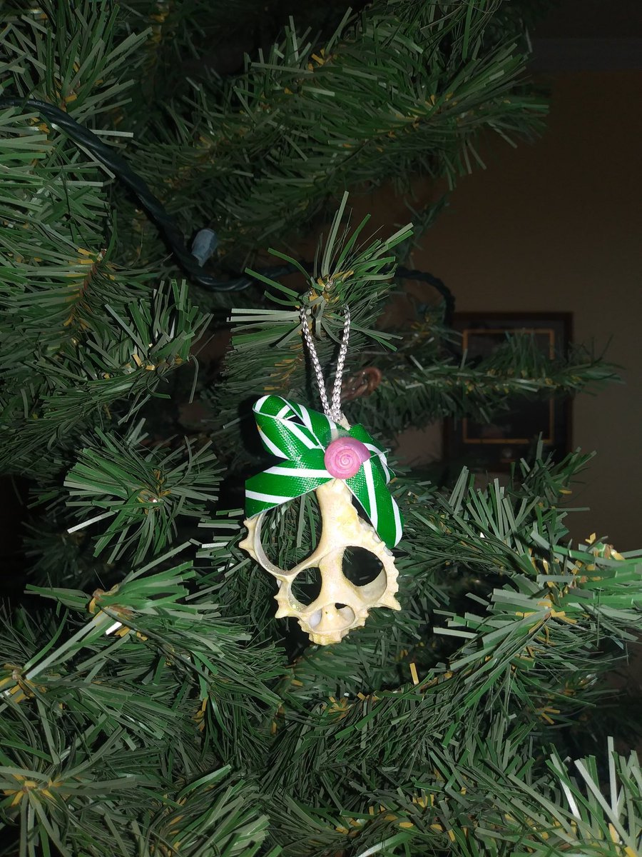 ardis_lori's tweet photo. 1st Ornament of 2020 on my tree. In Memory Honor of my Brave &amp; Amazing Neighbors from Covington. https://t.co/wGbhXsGf3u
