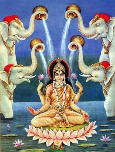 - Kamala -Kamala is the last mahavidya & marks the journey of transcendent knowledge towards mundane & ordinary. She is the end of the journey. At this stage, humans they are to see the beauty beyond the forms - the beauty of Divine is seen & mundane becomes sacred.