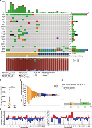 Journal for ImmunoTherapy of Cancer (@jitcancer) on Twitter photo New #JITC article: Comprehensive analysis of cutaneous and uveal melanoma liver metastases <a href="/ProfCUBlankNKI/">Christian Blank</a> ow.ly/tQHK50CCUPo New #JITC article: Comprehensive analysis of cutaneous and uveal melanoma liver metastases <a href="/ProfCUBlankNKI/">Christian Blank</a> ow.ly/tQHK50CCUPo