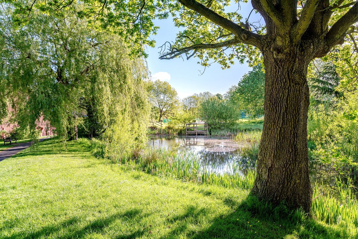 GuildfordBC's tweet photo. Are you getting out with friends in #NationalTreeWeek to explore the #environment after #Lockdown2?

We’re working hard to protect nature. Please help by using our bins or taking your #litter home.

#ChooseGuildford
#keepGuildfordclean https://t.co/8bVYxzqM4l